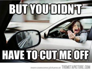 funny-Gotye-cut-me-off-driving